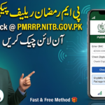 PM Ramzan Relief Package 2027